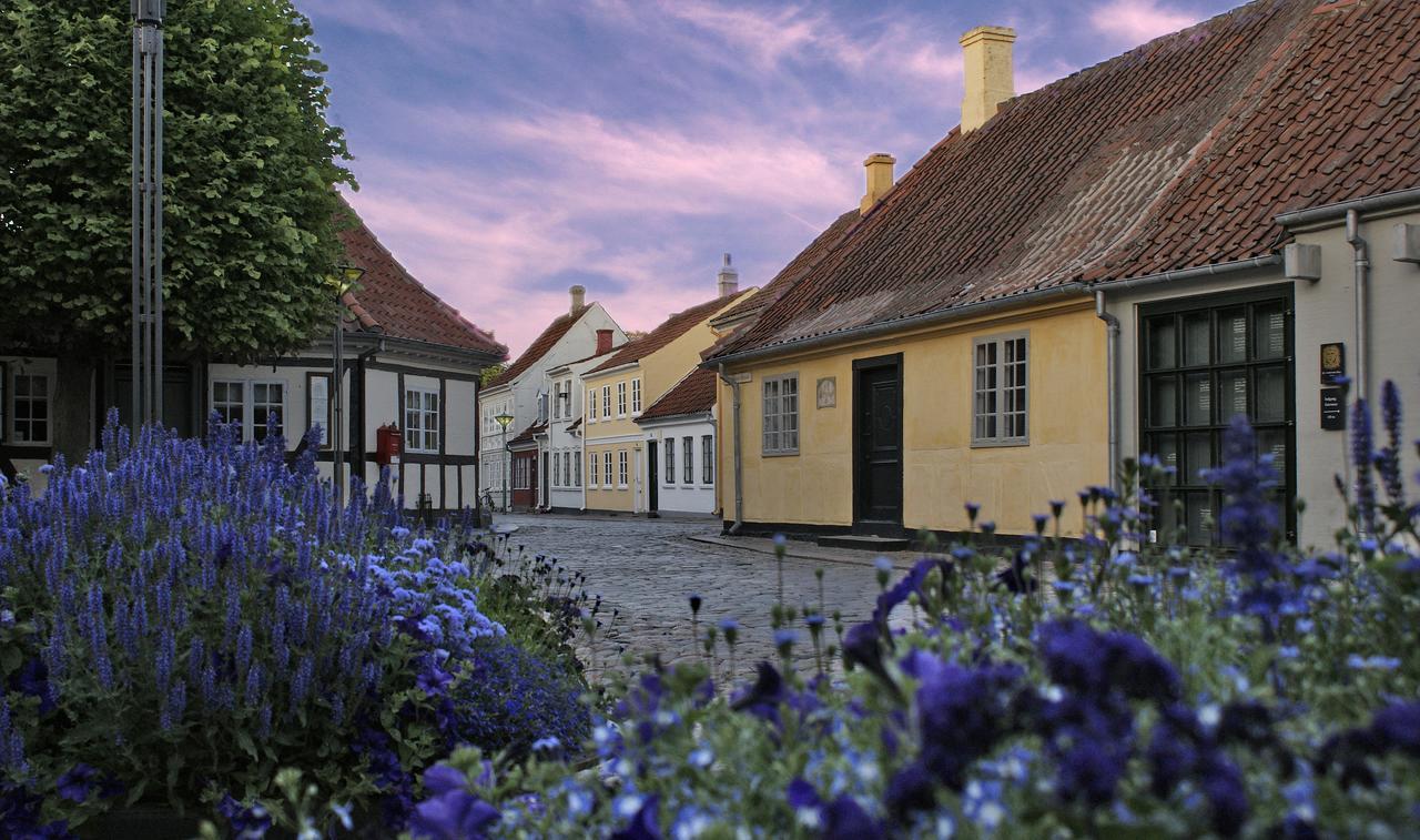 City Hotel Nattergalen Odense Exterior foto